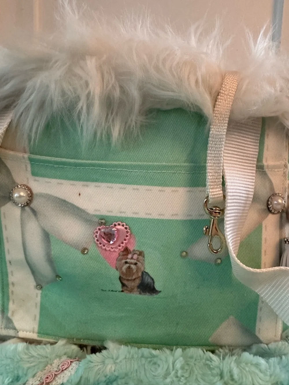 Mint Green Faux Fur Pet Carrier Bag & Matching Blanket
